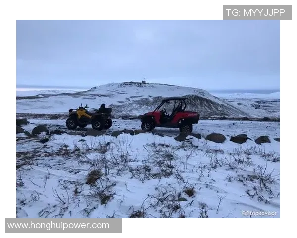 雷克雅未克与草蜢的精彩对决分析与赛后点评